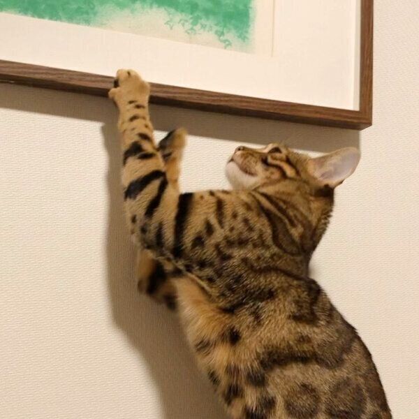 絵画に触れようとするフリーくん