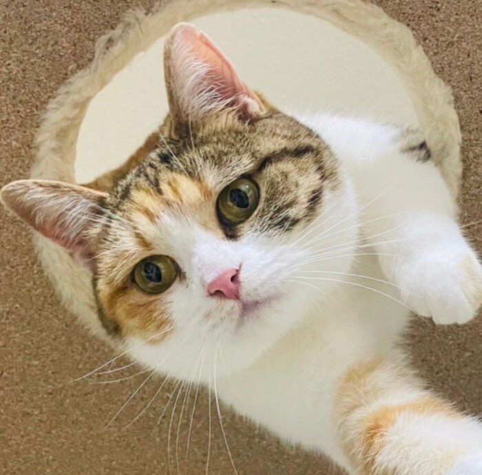 顔を出すちゃちゃみちゃん