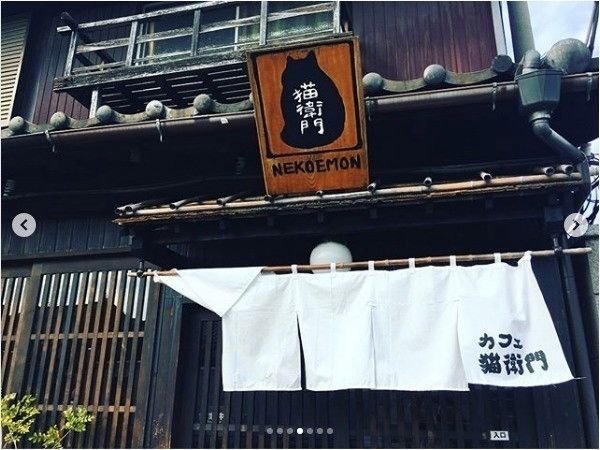 カフェ猫衛門