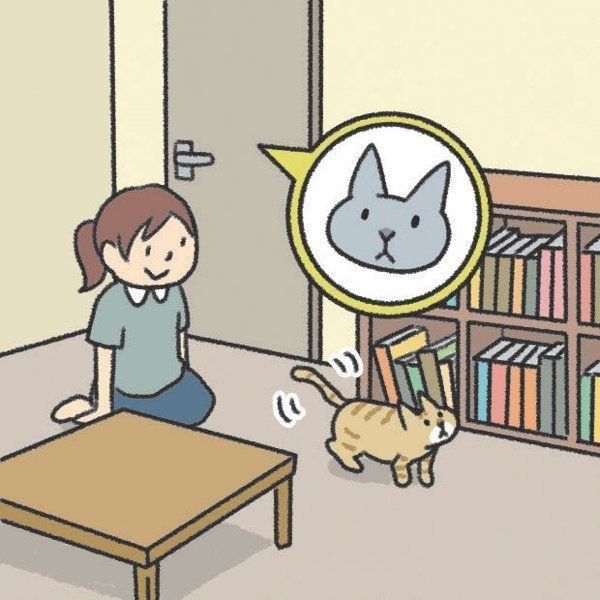 先住猫と新入り猫の対面時に気をつけたいこと