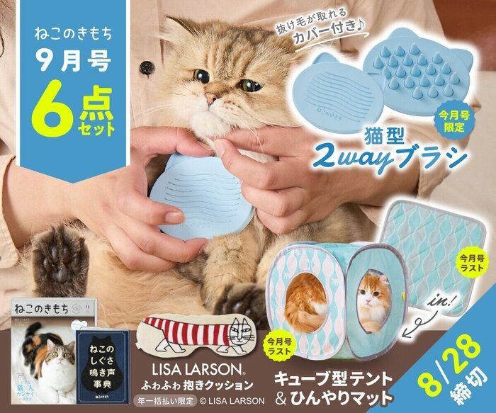 『即購入❌』ねこのきもち　雑誌　大量 ねこのきもちWEB MAGAZINE｜それでもやっぱり猫が好き