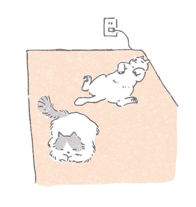 イラスト/ツキシロクミ