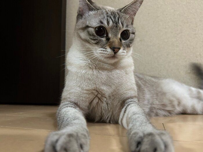 現在のゆりちゃん