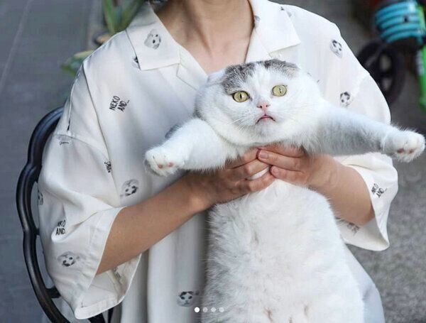 ライくん×「niko and ...」のコラボ商品