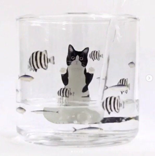 猫さん夢の水族館グラス2