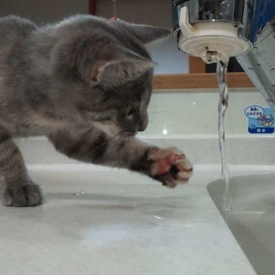 水遊び