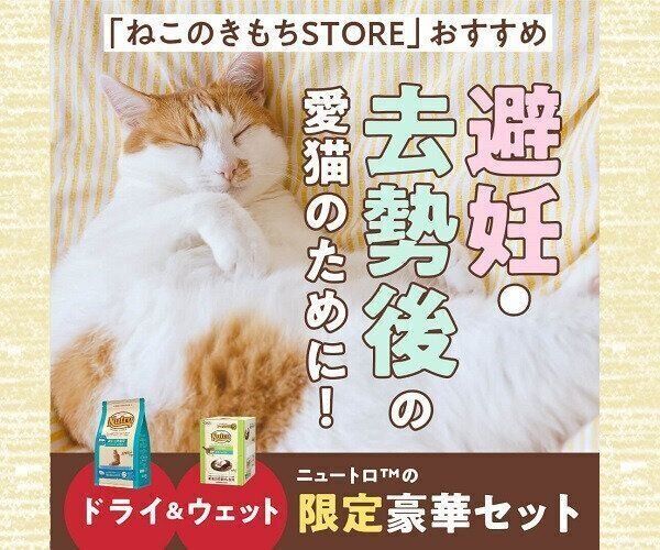 ねこのきもちweb Magazine それでもやっぱり猫が好き ねこのきもちweb Magazine それでもやっぱり猫が好き