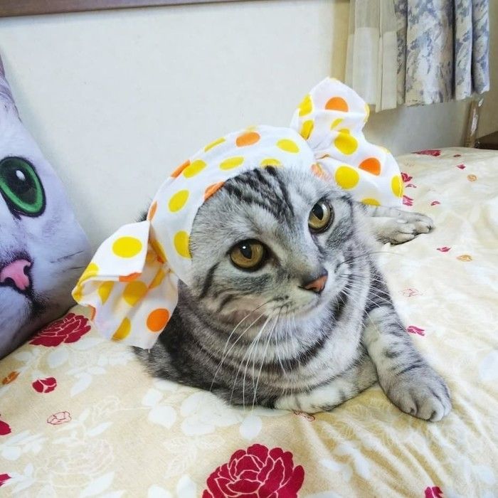 オレンジ