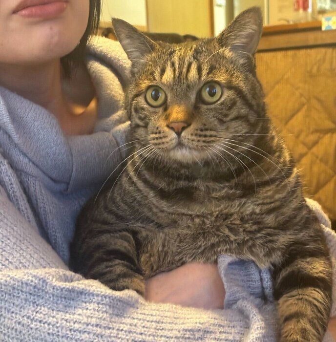 ママさんに抱っこされて満足げな虎三郎くん