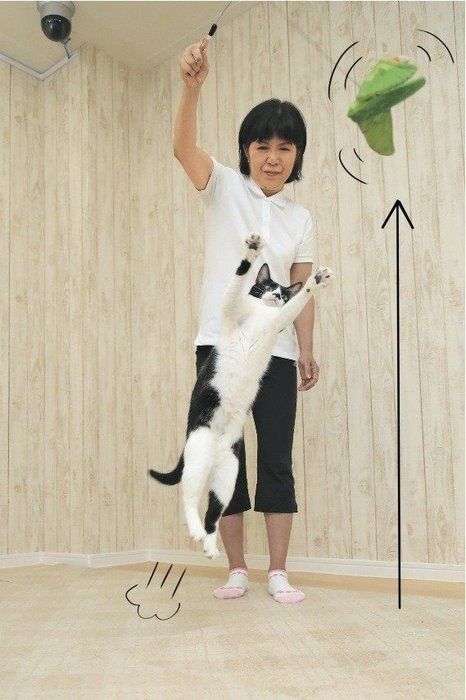 撮影/尾﨑たまき