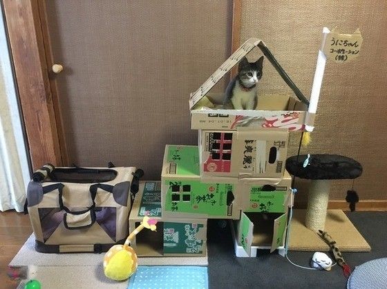 ママが頑張って作ったよ~