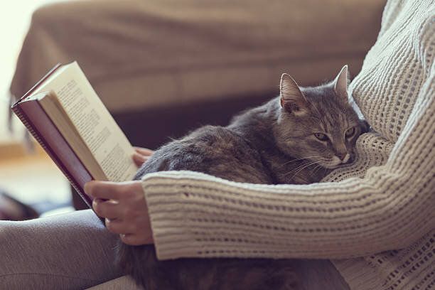 本を読んでる女性と猫