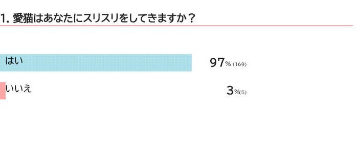 愛猫はあなたにスリスリしてきますか？