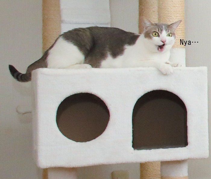 撮影/尾﨑たまき