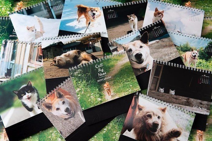 「Call my name 原発被災地の犬猫たち」カレンダー