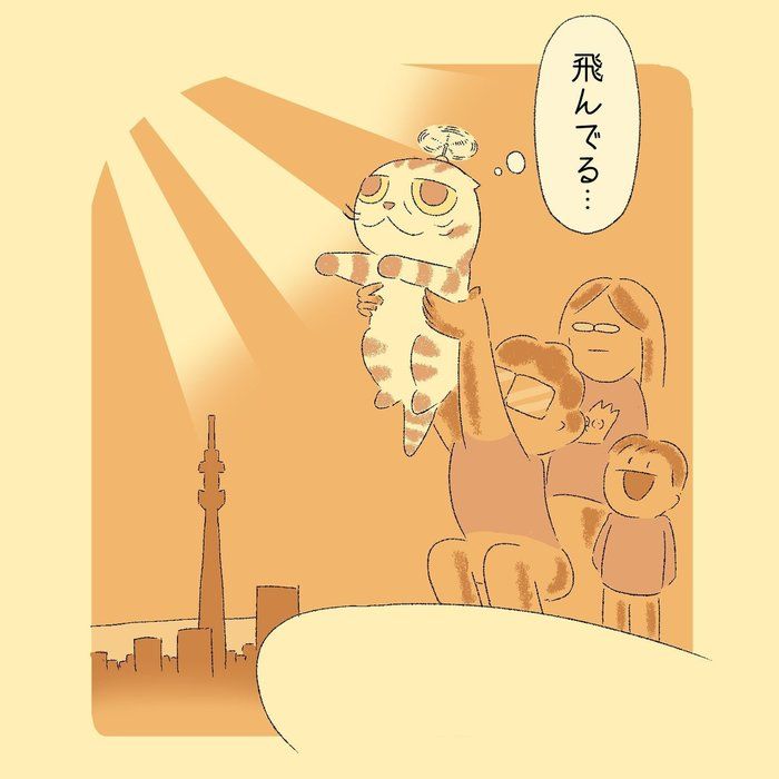 @tacos_cat