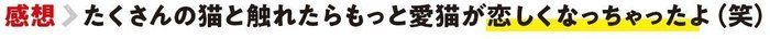 画像/ねこのきもち2018年11月号