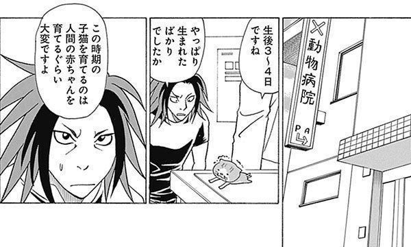 『れんコテ』
