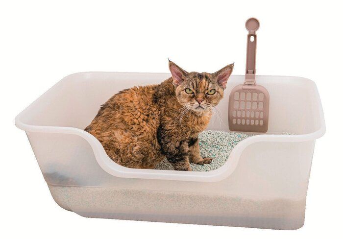 ノーマルトイレ