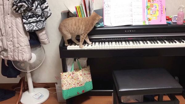 ピアノ