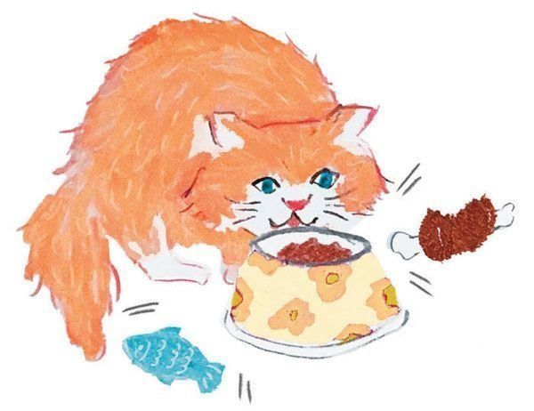 知っておきたい猫の栄養学