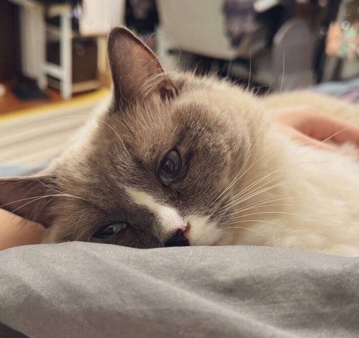 甘えるココくん