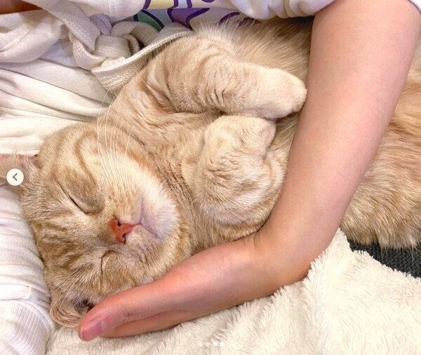 眠るむーくん