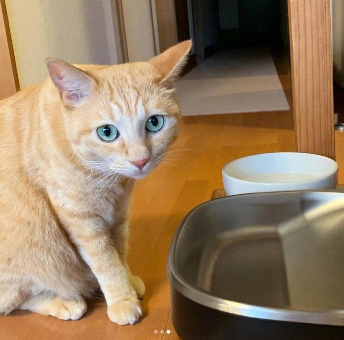 スタンバイするもいわちゃん