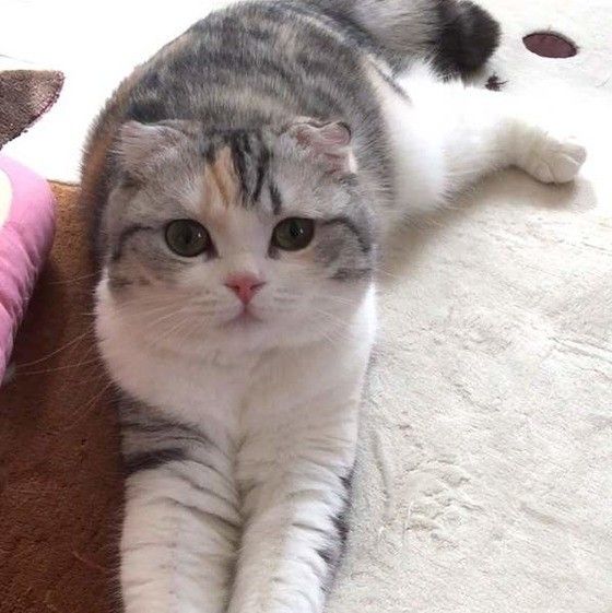 ほっぺ♡