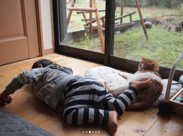 弟とあそぶ猫