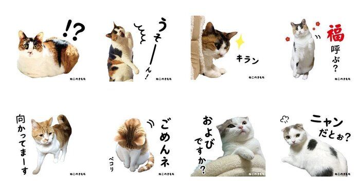 いぬ・ねこのきもちアプリ なでなでスタンプ企画