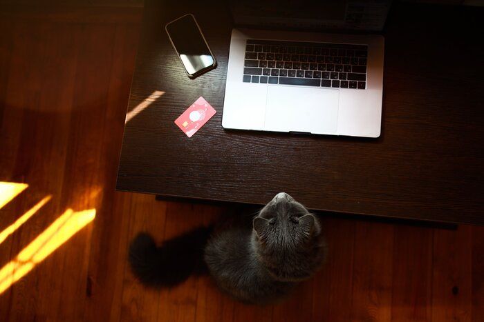画像/iStock、Getty Images Plus