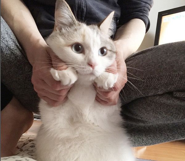 あおいちゃん