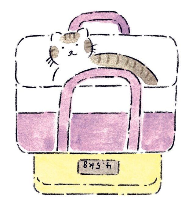 イラスト/みやしたゆみ