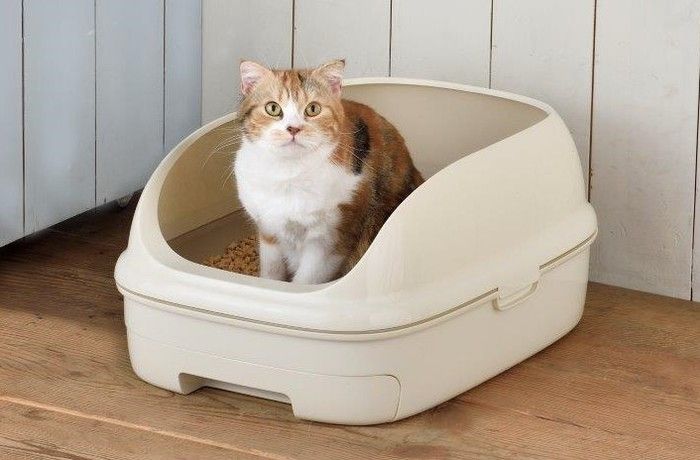 トイレのスペシャリストに聞きました! 100%使いこなそう システムトイレQ&A
