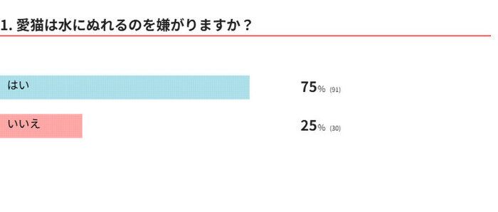 愛猫はぬれるのを嫌がる？