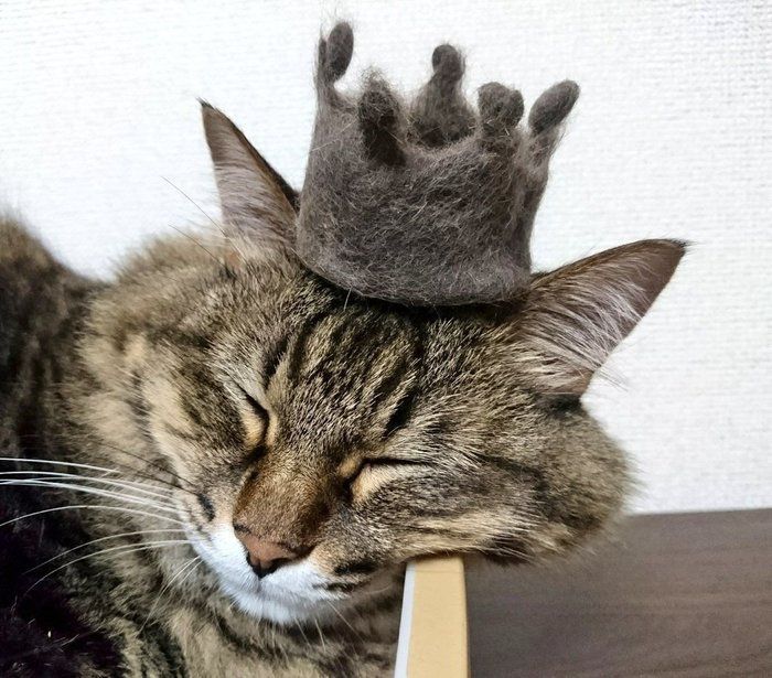 抜け毛かんむり
