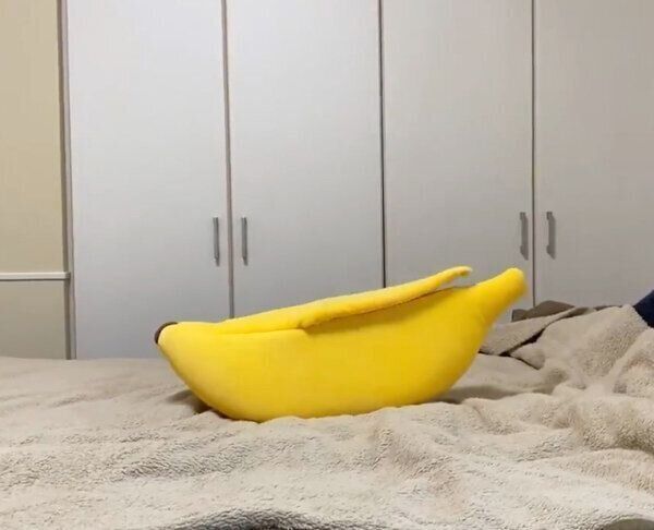 巨大バナナの中に入ったまつたけちゃん