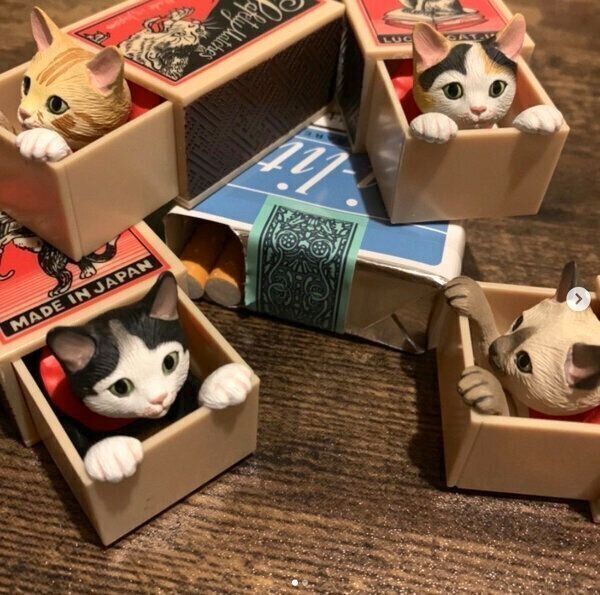 カプセルトイ「船橋つとむ マッチボックス猫」