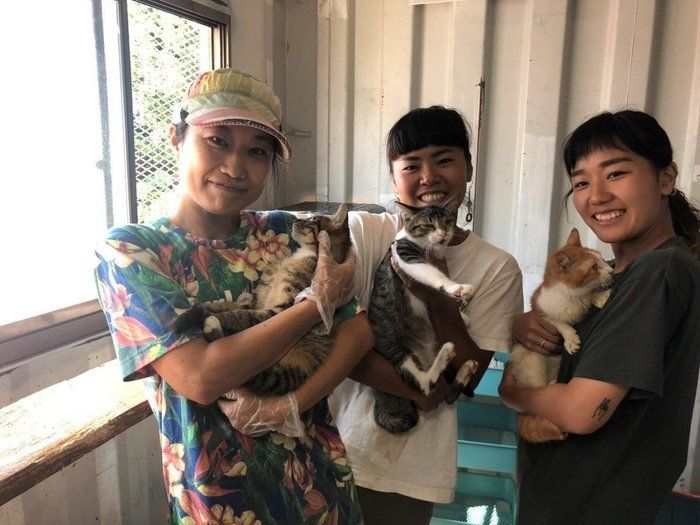 画像/2019年8月号「猫のために何ができるのだろうか」
