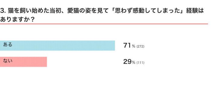 ねこのきもちWEB MAGAZINE 猫の「生態・行動」に関するアンケートvol.01