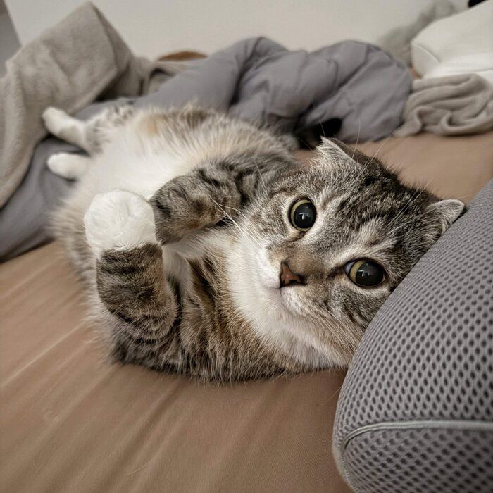 現在のりっちゃん(撮影時9才)。