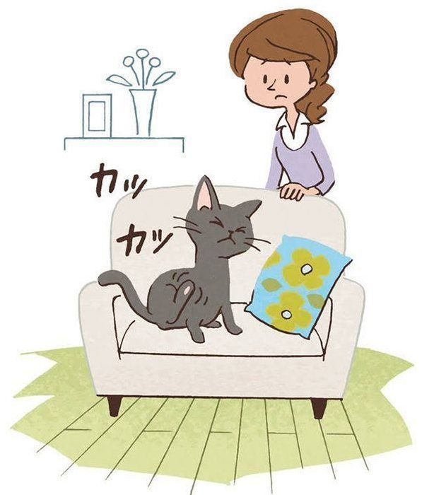 かゆくて体をかく猫