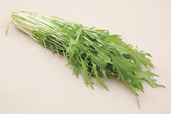 水菜