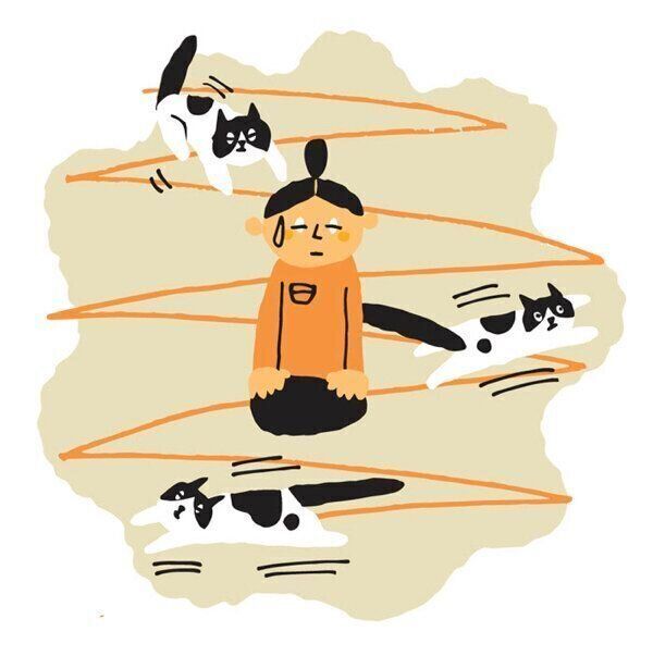 走り回る猫