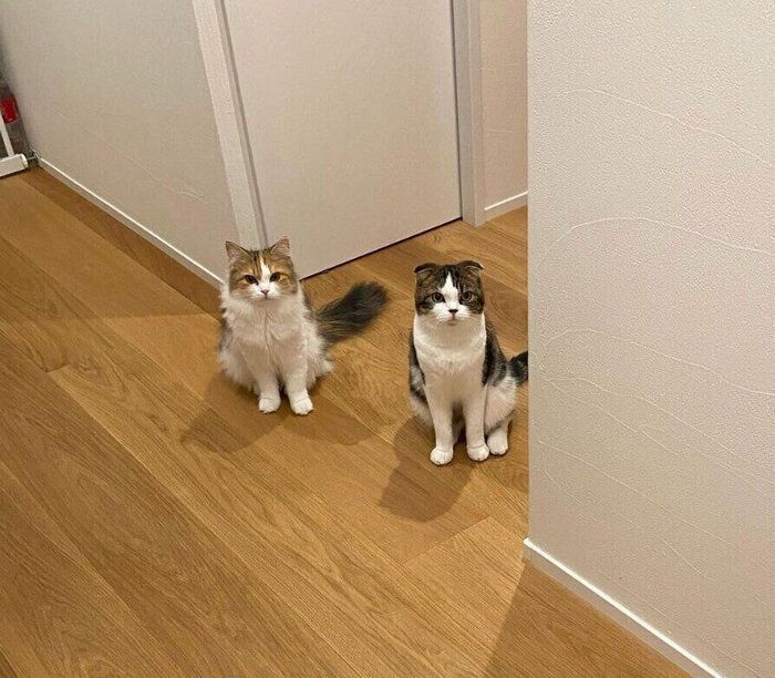 resized_35508db6-47f0-4b5a-