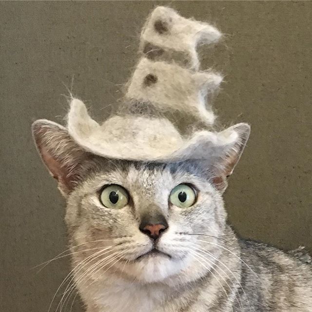 抜け毛こいのぼり帽子