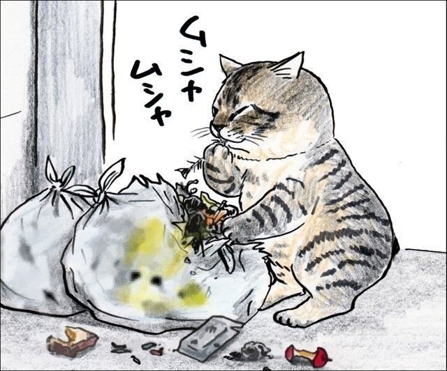 なれそめ①