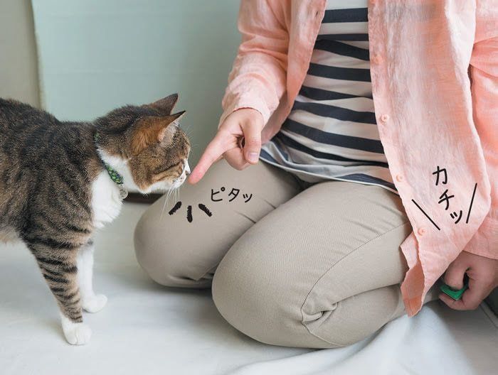 おいで4