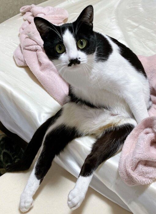 2才になったててちゃん